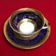 Winterling Bavaria porcelain cup and sub-cup