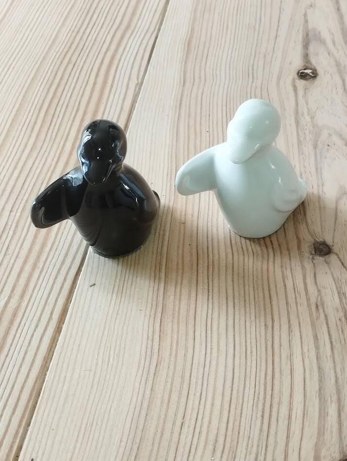 Duo de salières pingouins noir et blanc