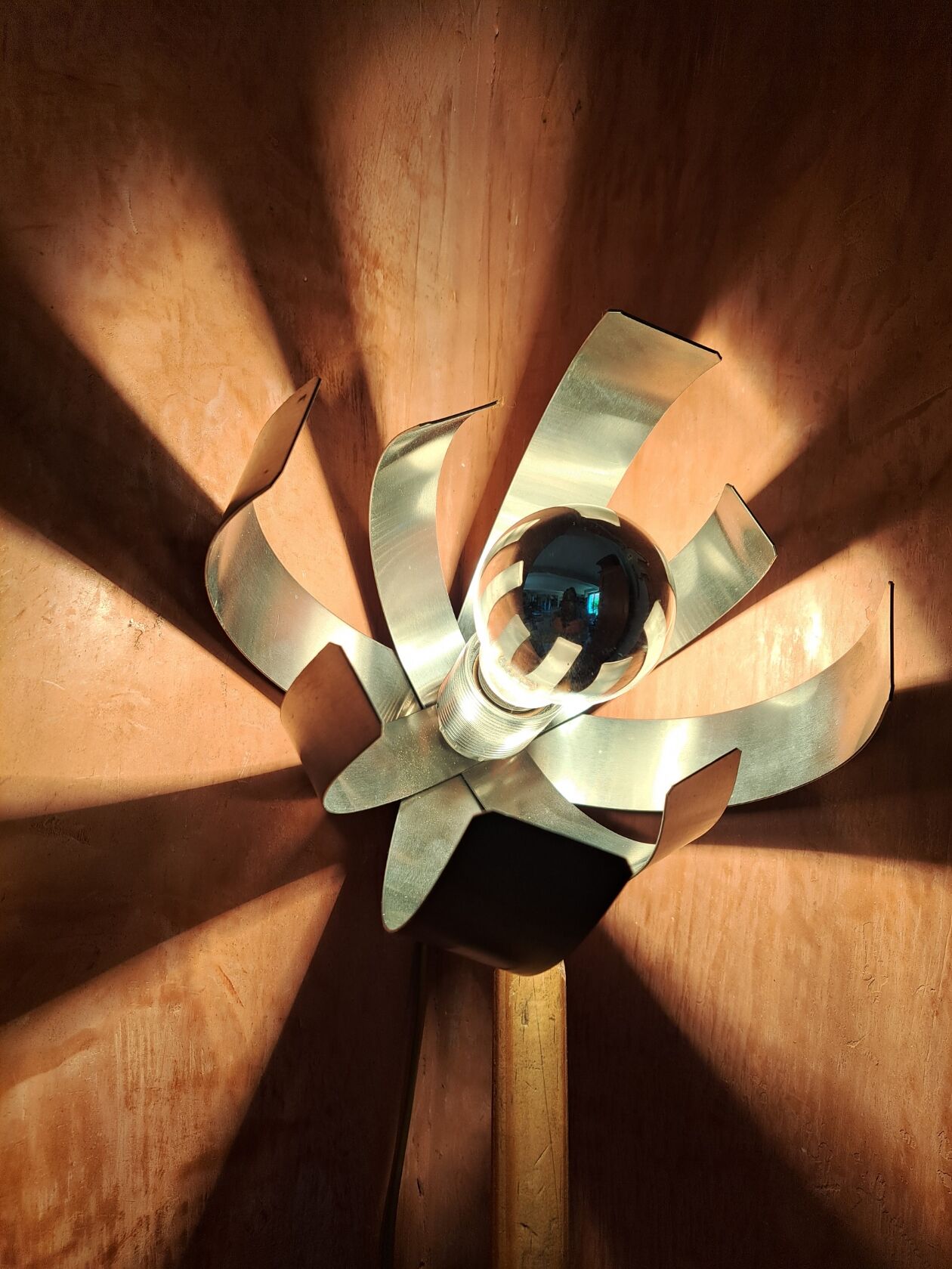 Flower of light by Jocelyne Trocmé