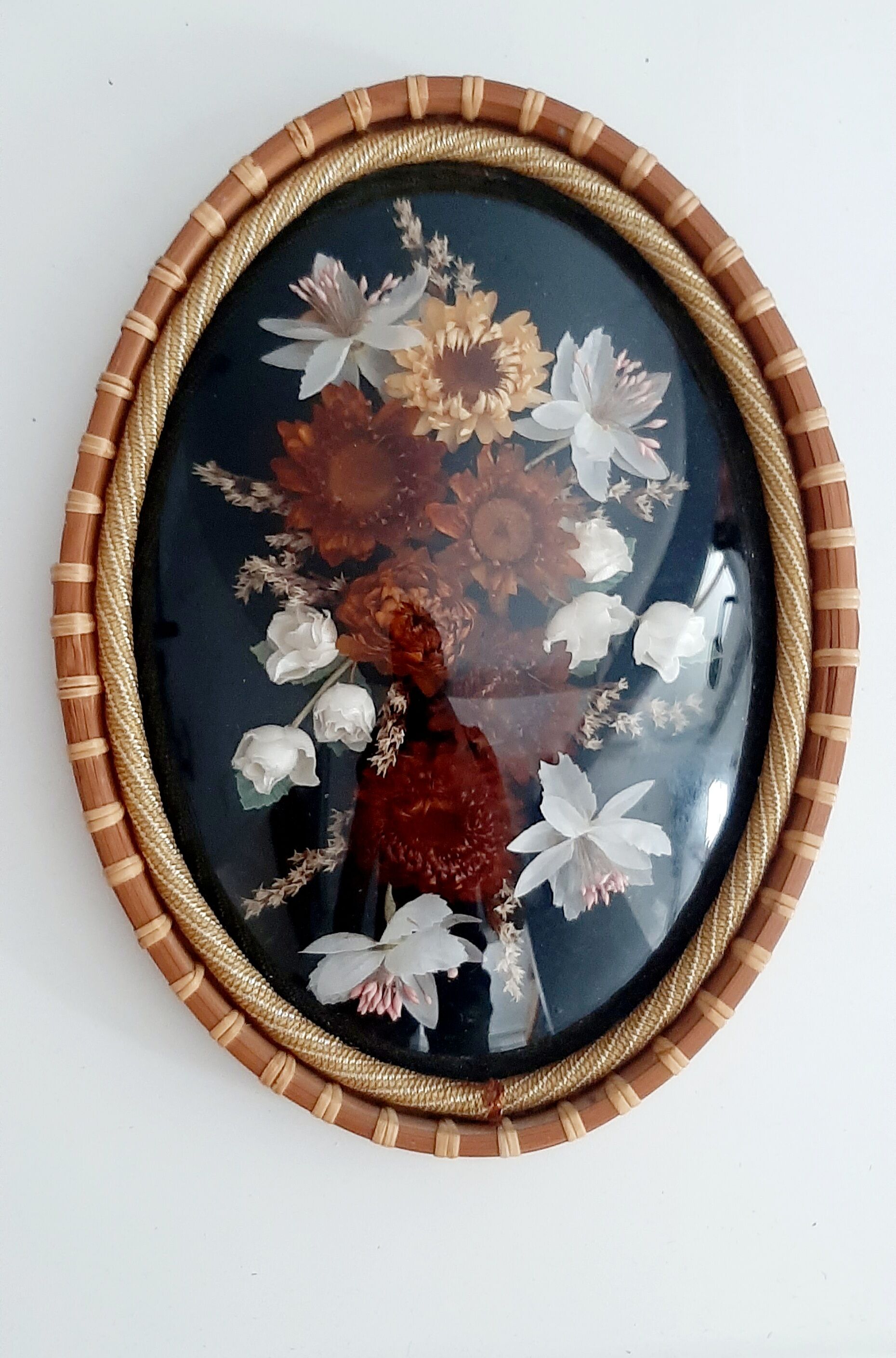 Domed frame dried flowers 50s 60s