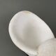 Plaster shell on blackened wooden base cabinet of curiosities XXth