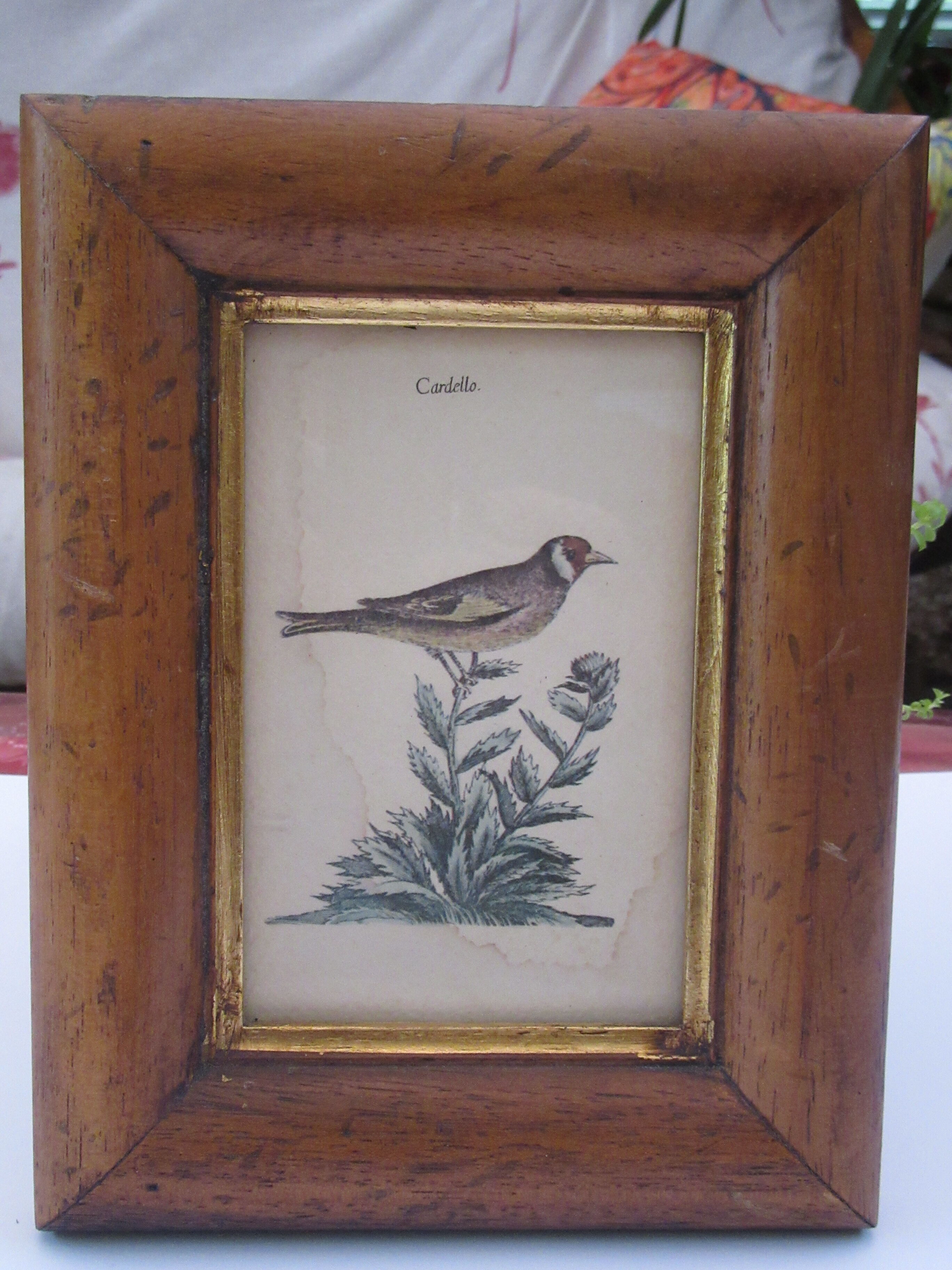 Three bird frames