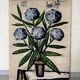 Tapestry Hortensias Bernard Buffet 70s