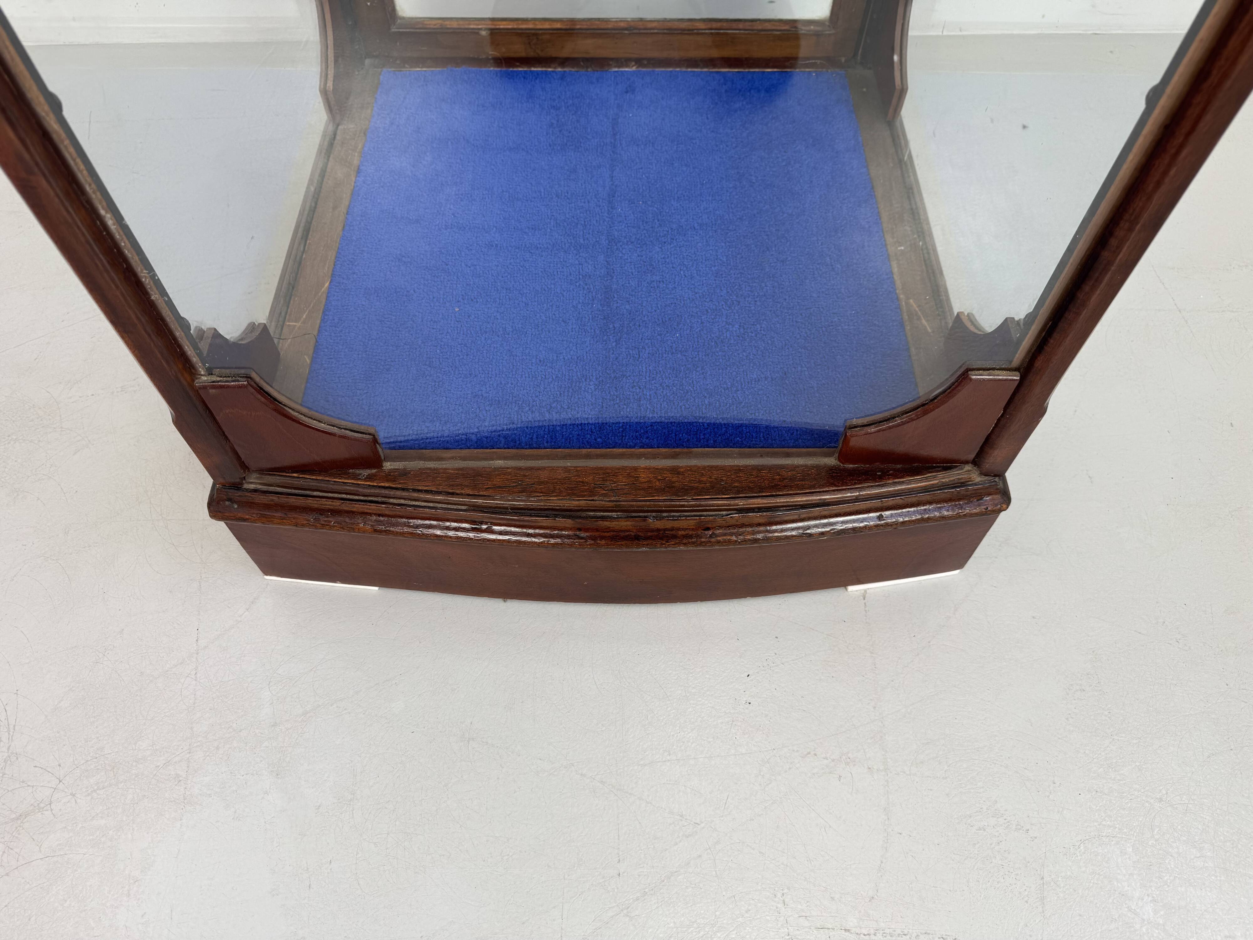 Beautiful mahogany museum display cabinet from England, circa 1925.