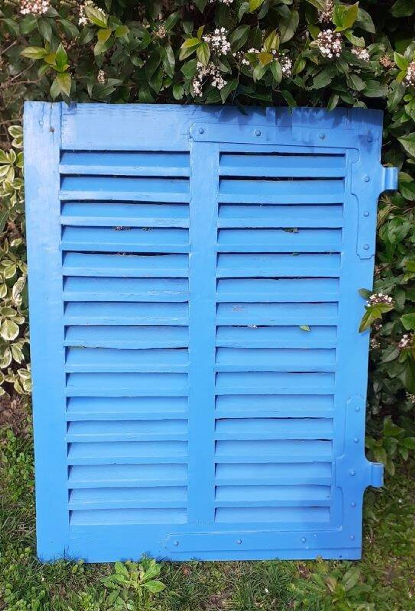 Petit volet  L75xH101cm bleu à persiennes