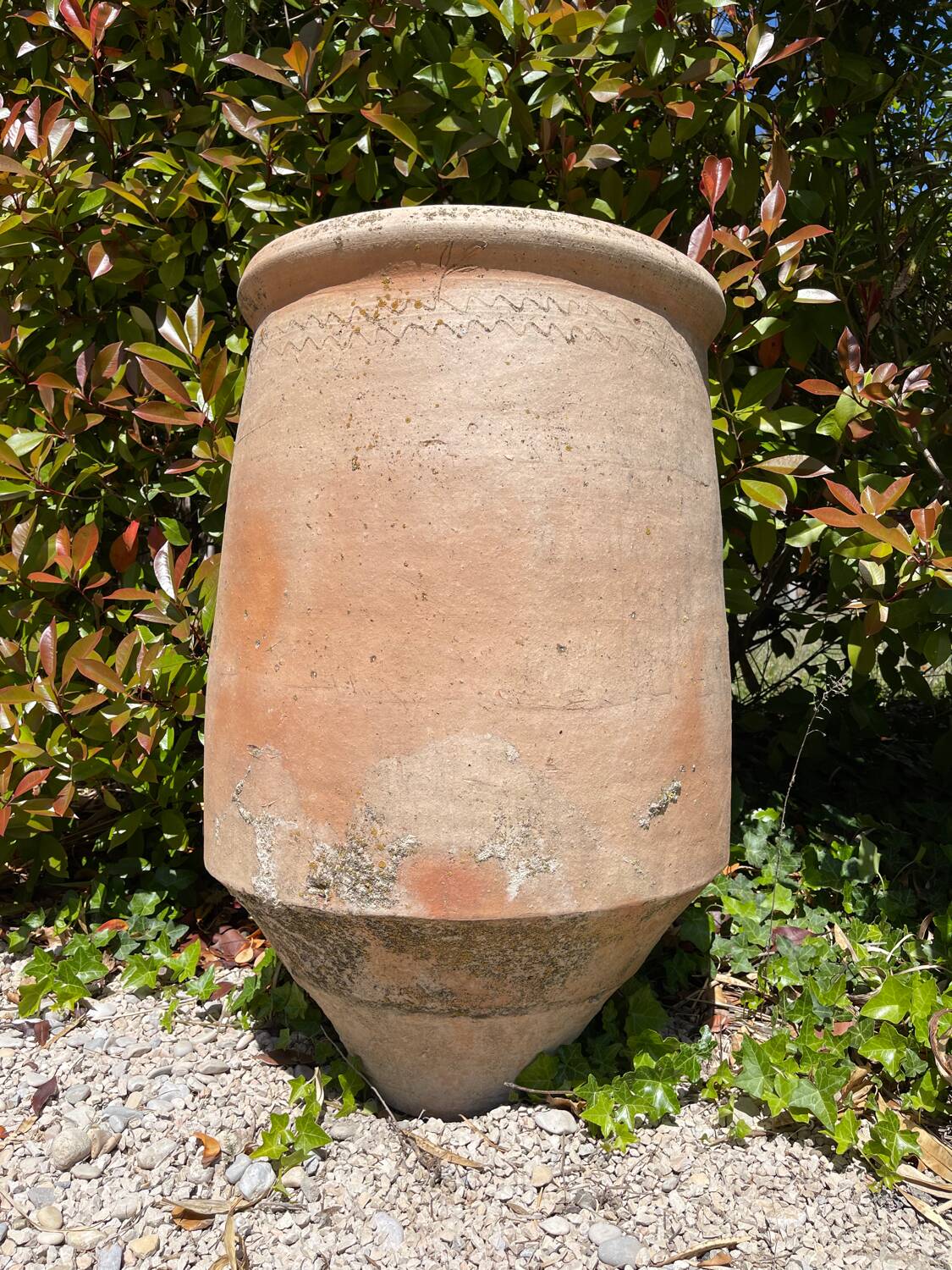 Terracotta pot jar
