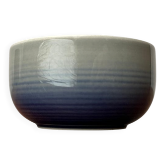 Vintage bowl from the Terra series by Wolf Karnagel for Rosenthal, 1980s.