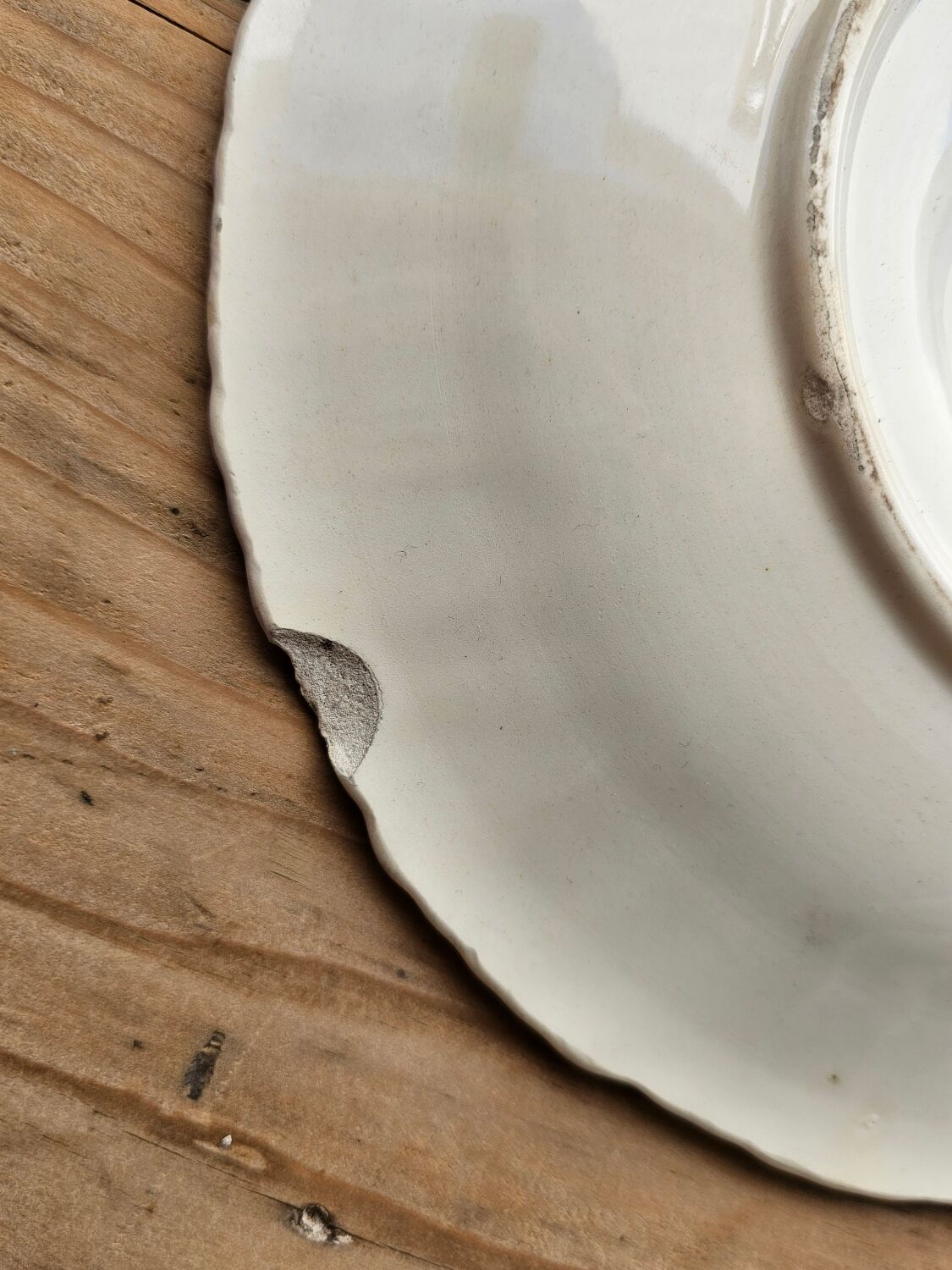 Longchamp Terre de Fer asparagus plates