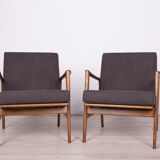 Model 300-139 Armchairs from Swarzędzka, 1960s, Set of 2