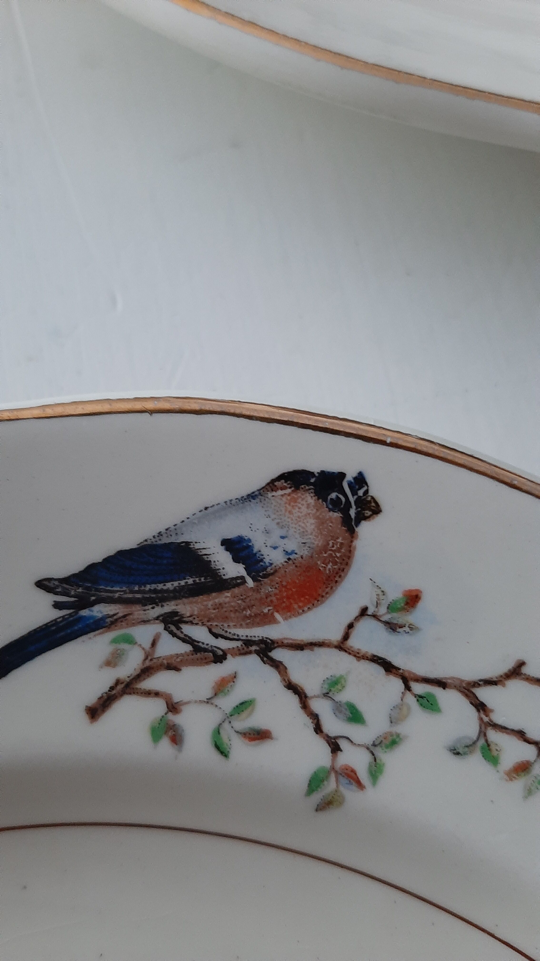 Lot plates St-Amand robin