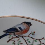 Lot plates St-Amand robin