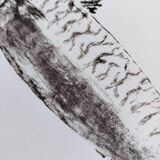 Framed Art Print, "Gyotaku of a Mackerel"