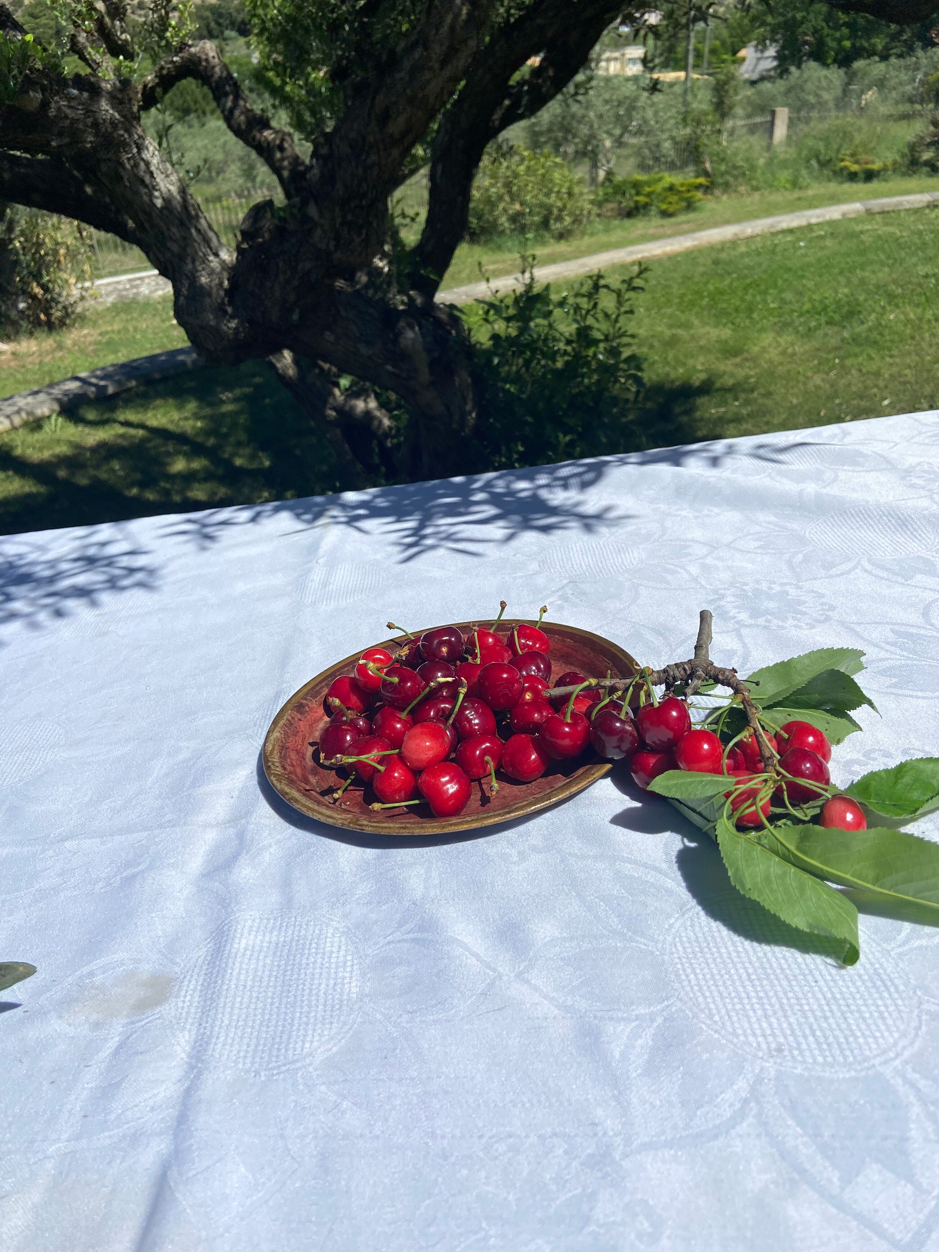 Small antique lacquered dish with hand-painted floral decoration.