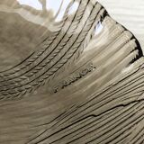 Lot 5 glass plates Arcoroc France smoked pattern flower crocus vintage CANTERBURY