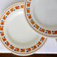 4 flat plates in iron earth of the Salins model Lucette 210804