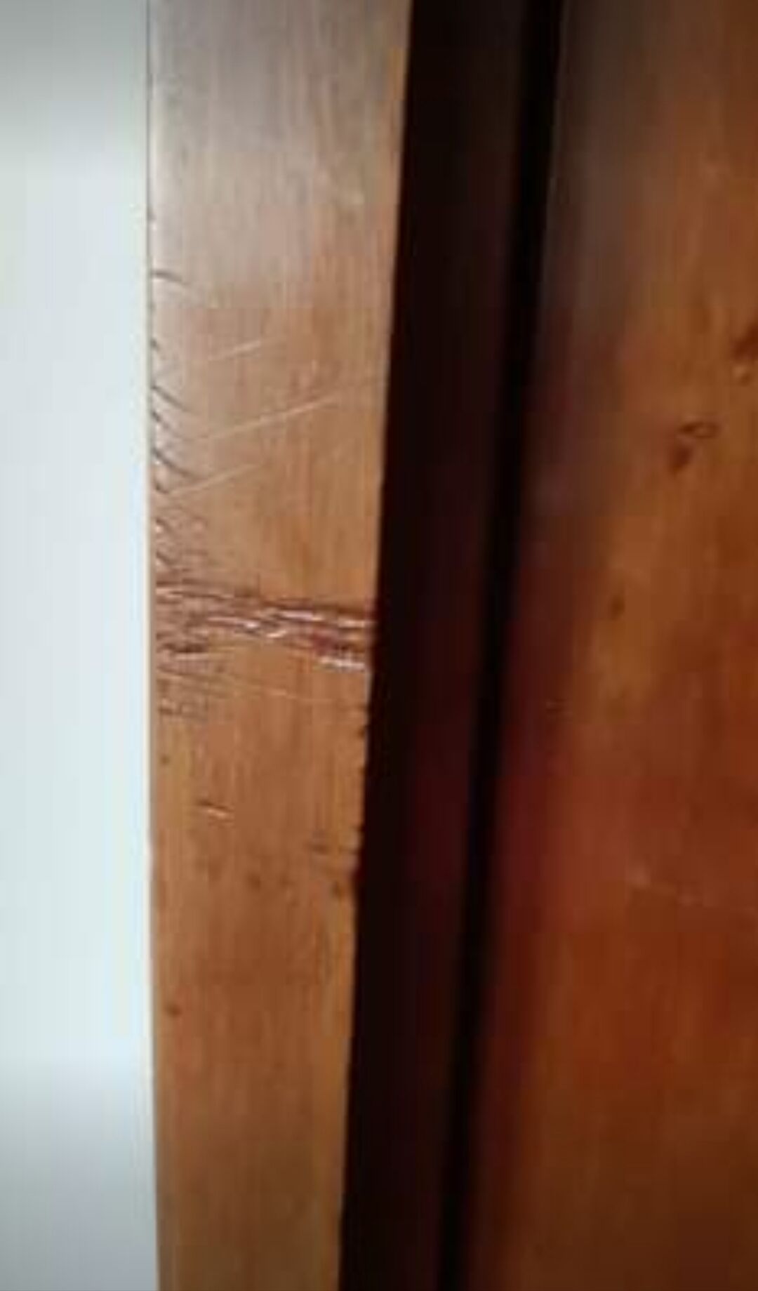 Napoleon III bookcase