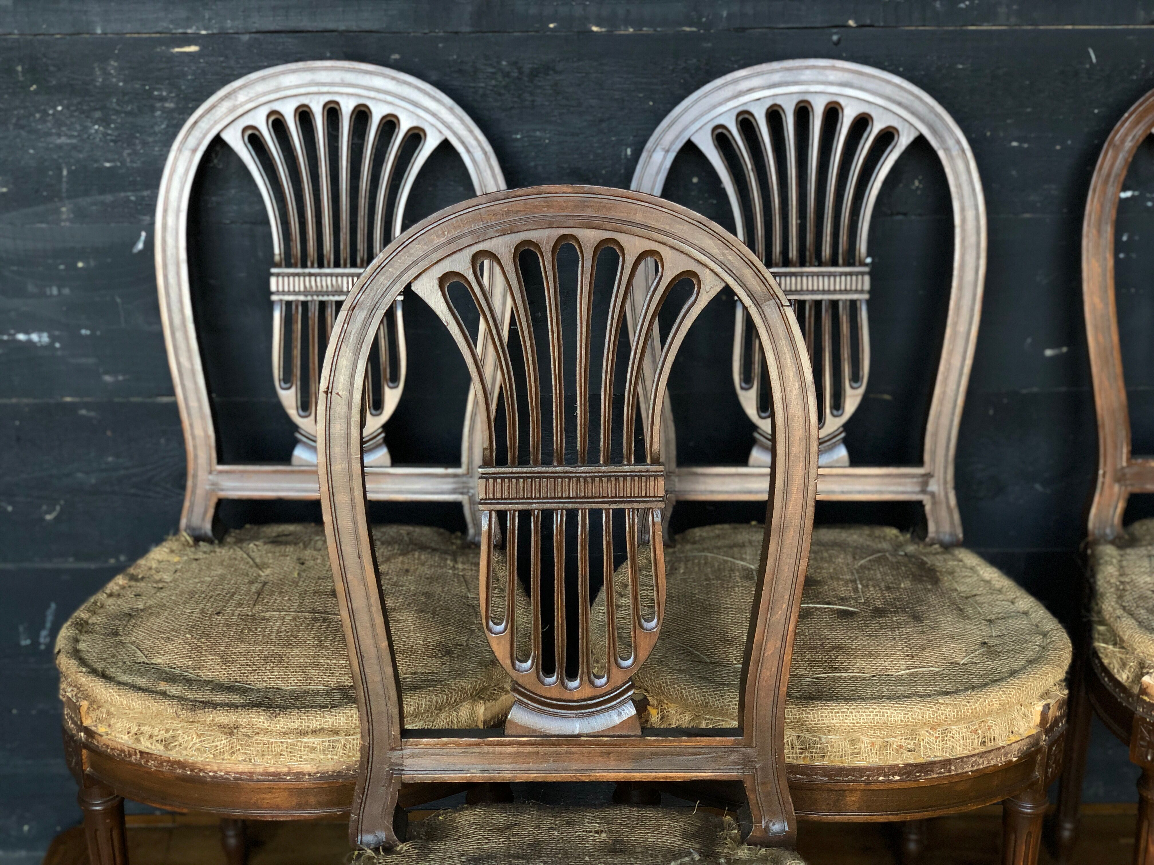 6 Louis XVI-style chairs