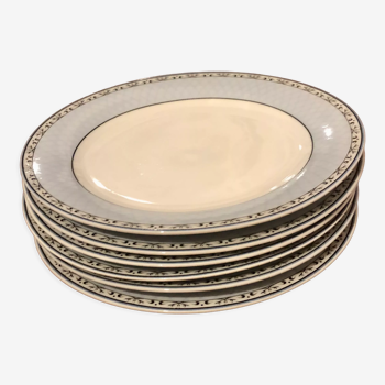 6 porcelain flat plates