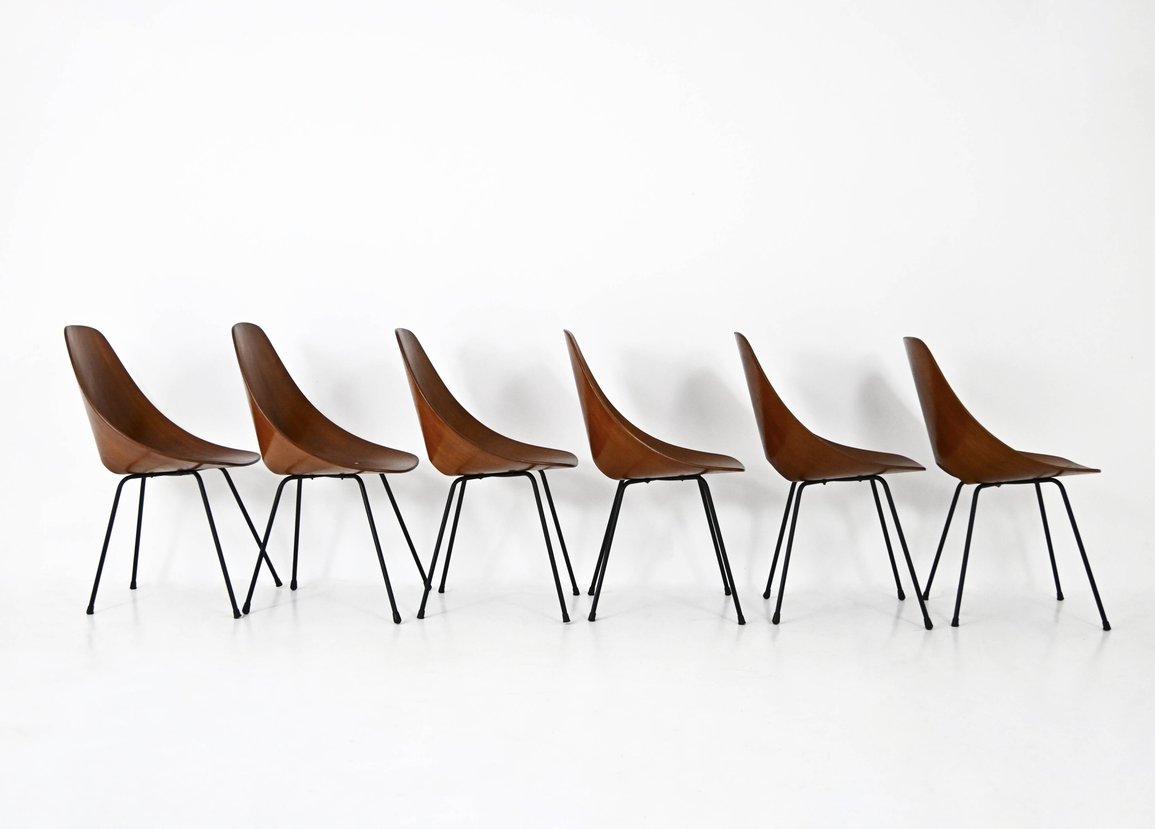 Set of 6 “Medea” Chairs by Vittorio Nobili for Frattelli Tagliabue, 19