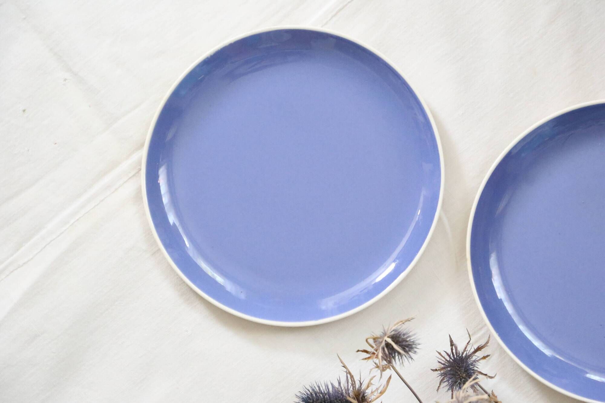 Duo of blue dessert plates, SAAR, Villeroy and Boch model, vintage