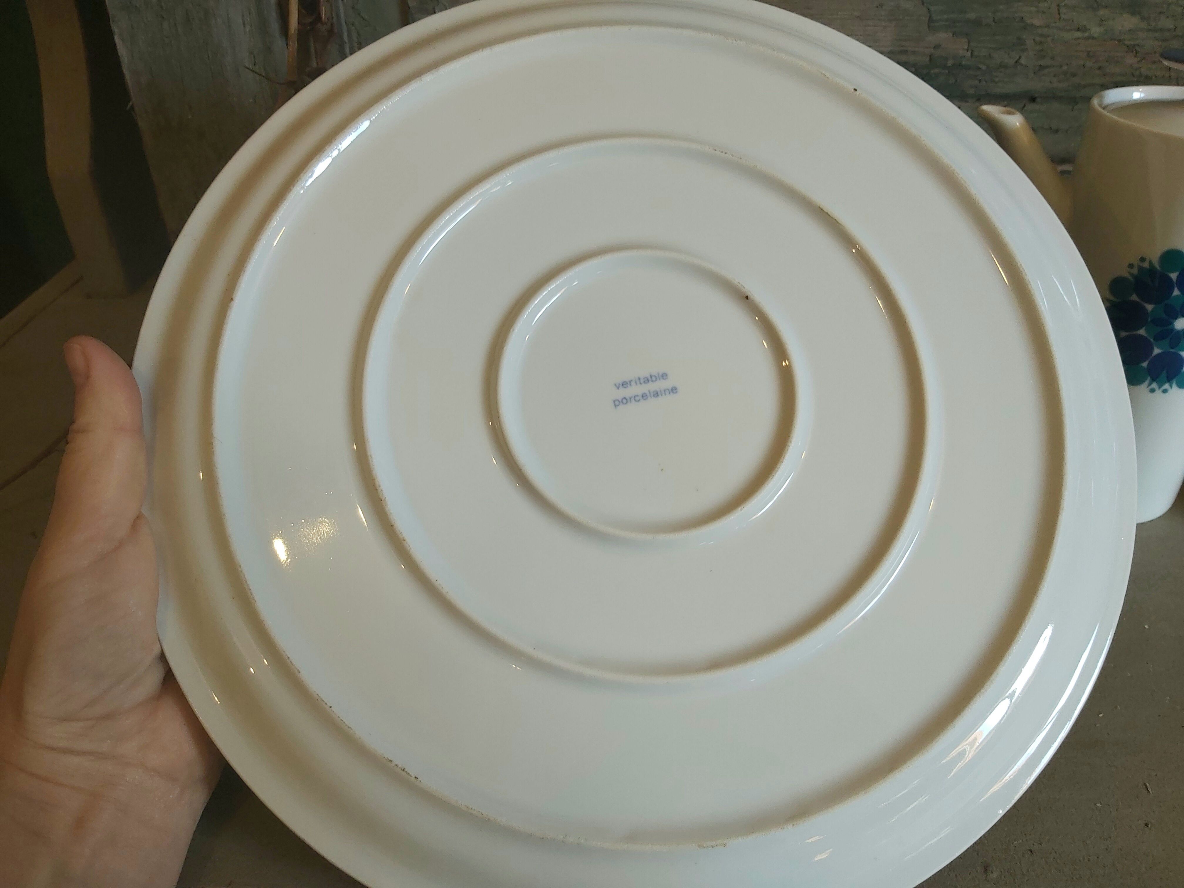 Thomas Rosenthal Germany porcelain Tulips coffee set in greens and blues