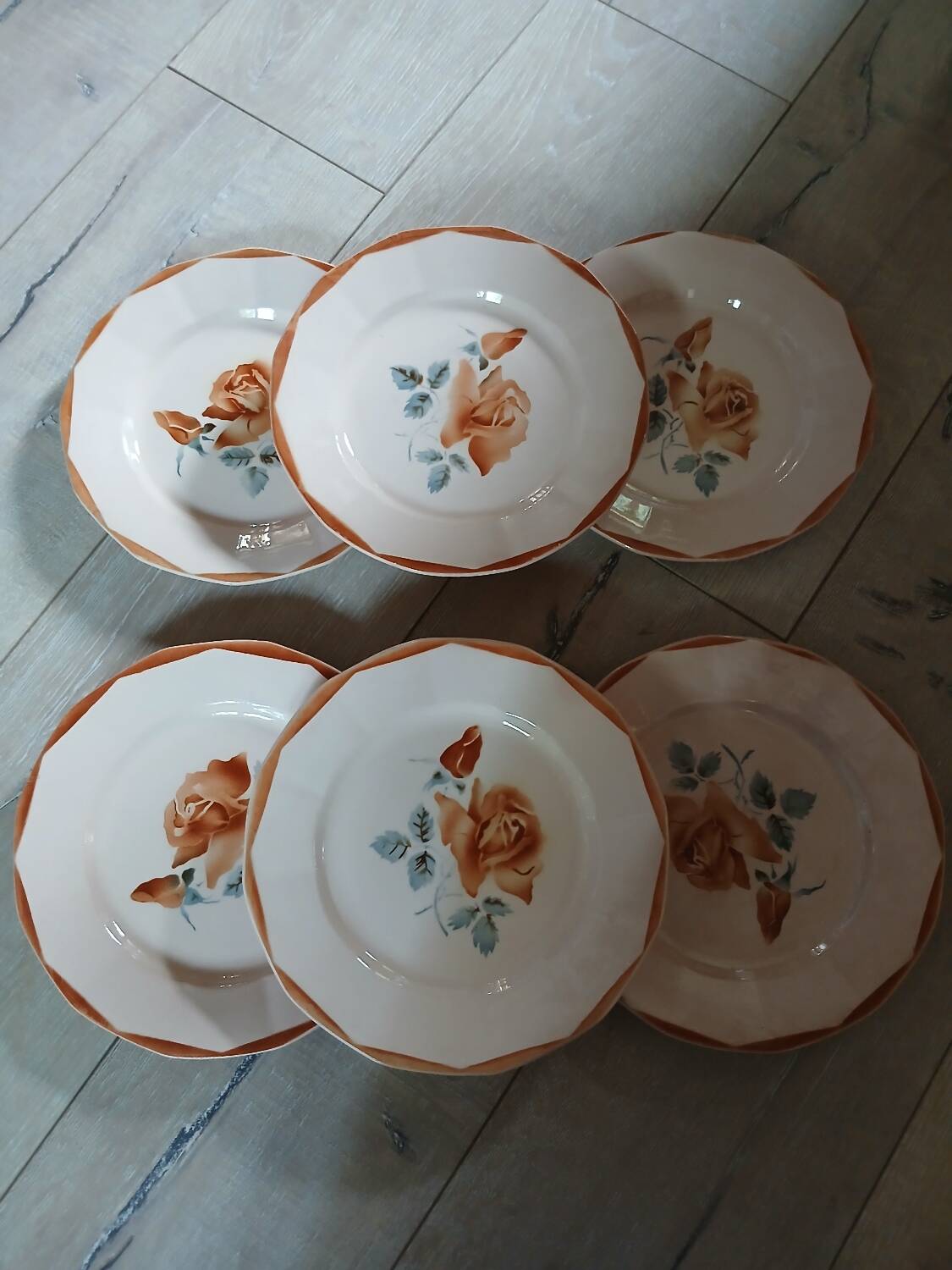 6 old Digoin and Sarreguemines dinner plates