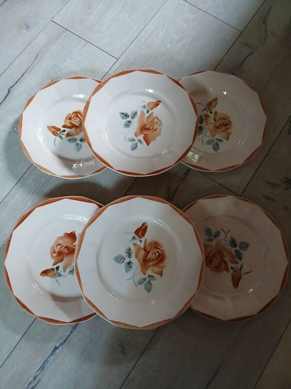 6 assiettes plates anciennes Digoin et Sarreguemines