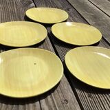 5 Salins Panama brushed oval dessert plates