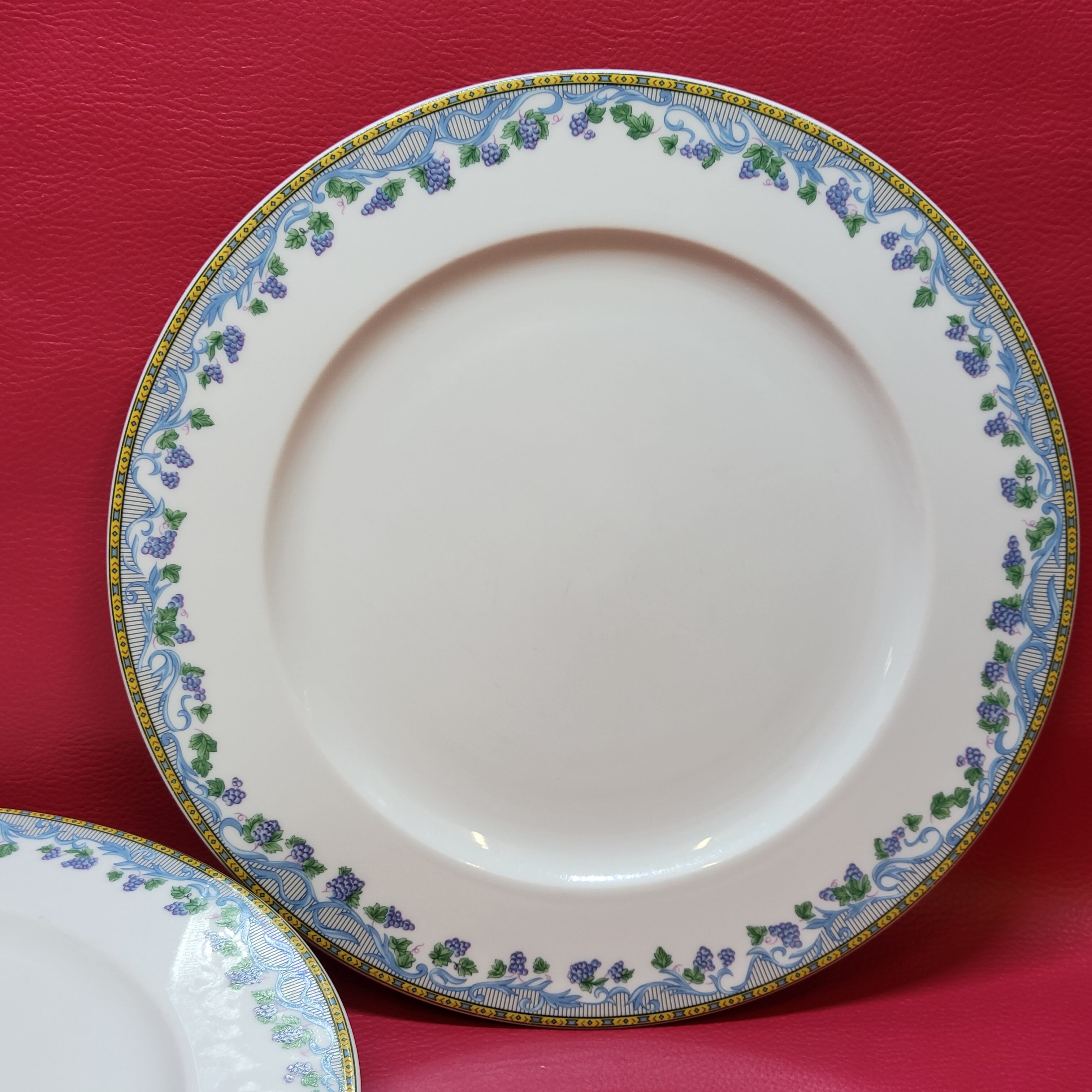 5 large flat plates guy degrenne model tuscany porcelain limoges