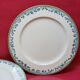 5 large flat plates guy degrenne model tuscany porcelain limoges