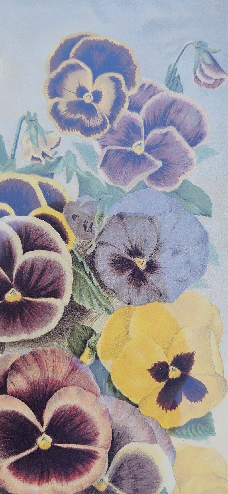 Julia Marin - Impression Thoughts on Large Flowers Around 1900
