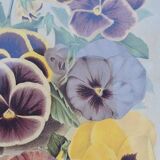 Julia Marin - Impression Thoughts on Large Flowers Around 1900