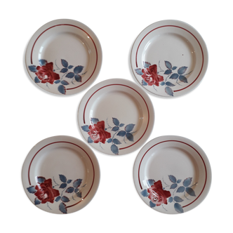 Set of 5 plates digoin, sarreguemine, model sobral