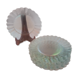 12 daisy dessert plates / Duralex