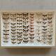 Butterfly frame stuffed under glass