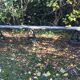 Wooden trestle bench