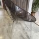 A Mister Impossible Chair by Philippe Starck for Kartell 90
