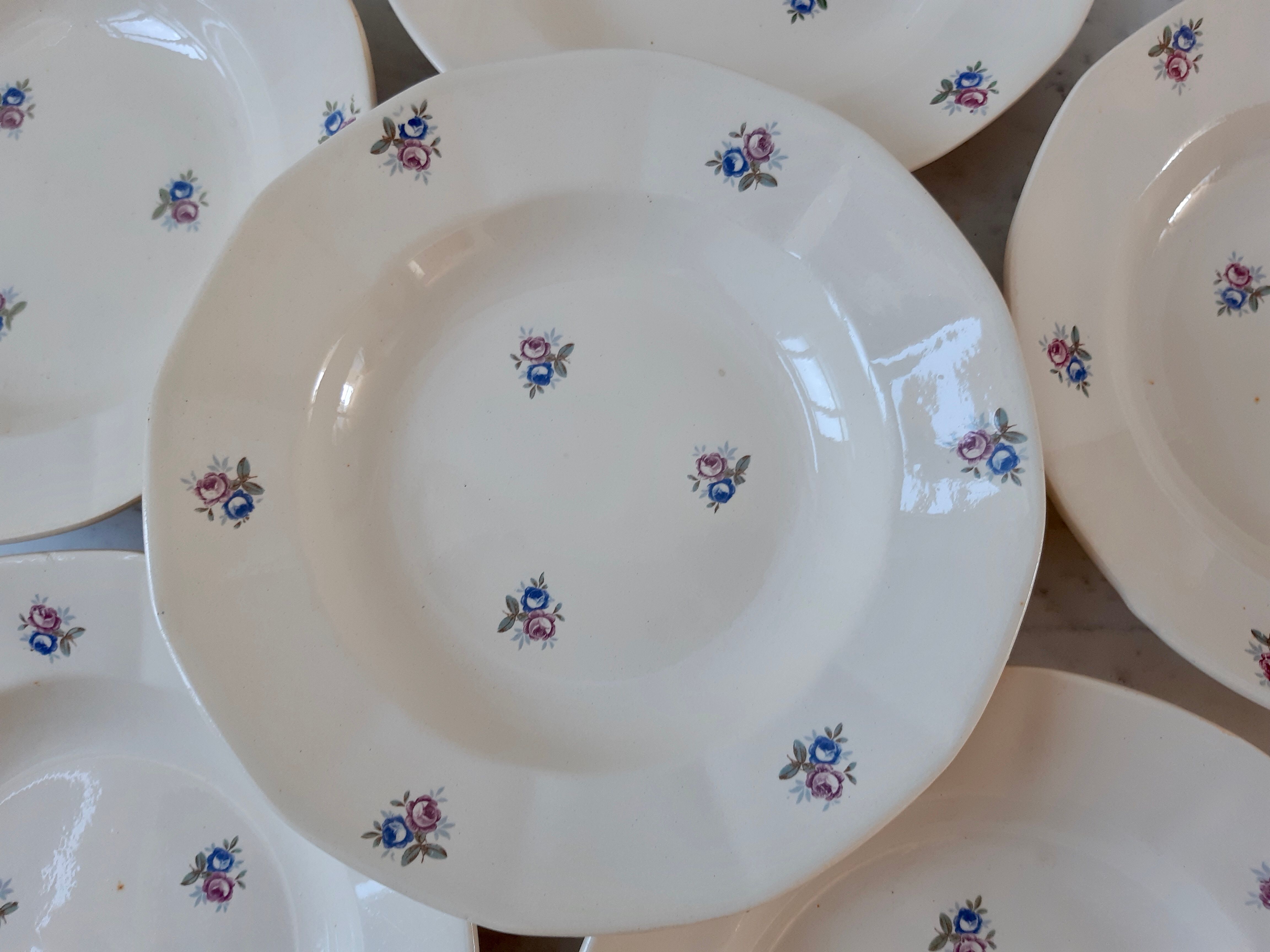 Set of 6 hollow plates Digoin Sarreguemines