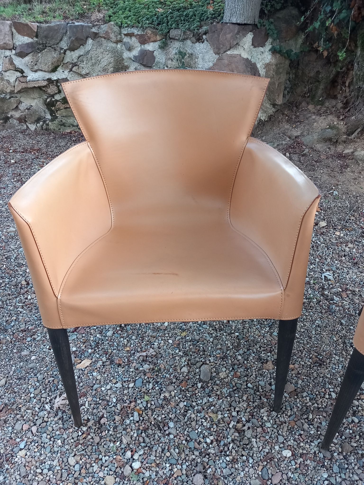 Ensemble de 4 chaises Vela par Carlo Bartoli pour Matteo Grassi