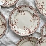 8 Ridgways England Royal Semi Porcelain "Eton" Ironstone Dinner Plates