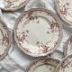 8 assiettes plates en terre de fer "Eton" Ridgways England Royal Semi Porcelain