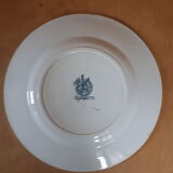 Green floral pattern earthenware plate