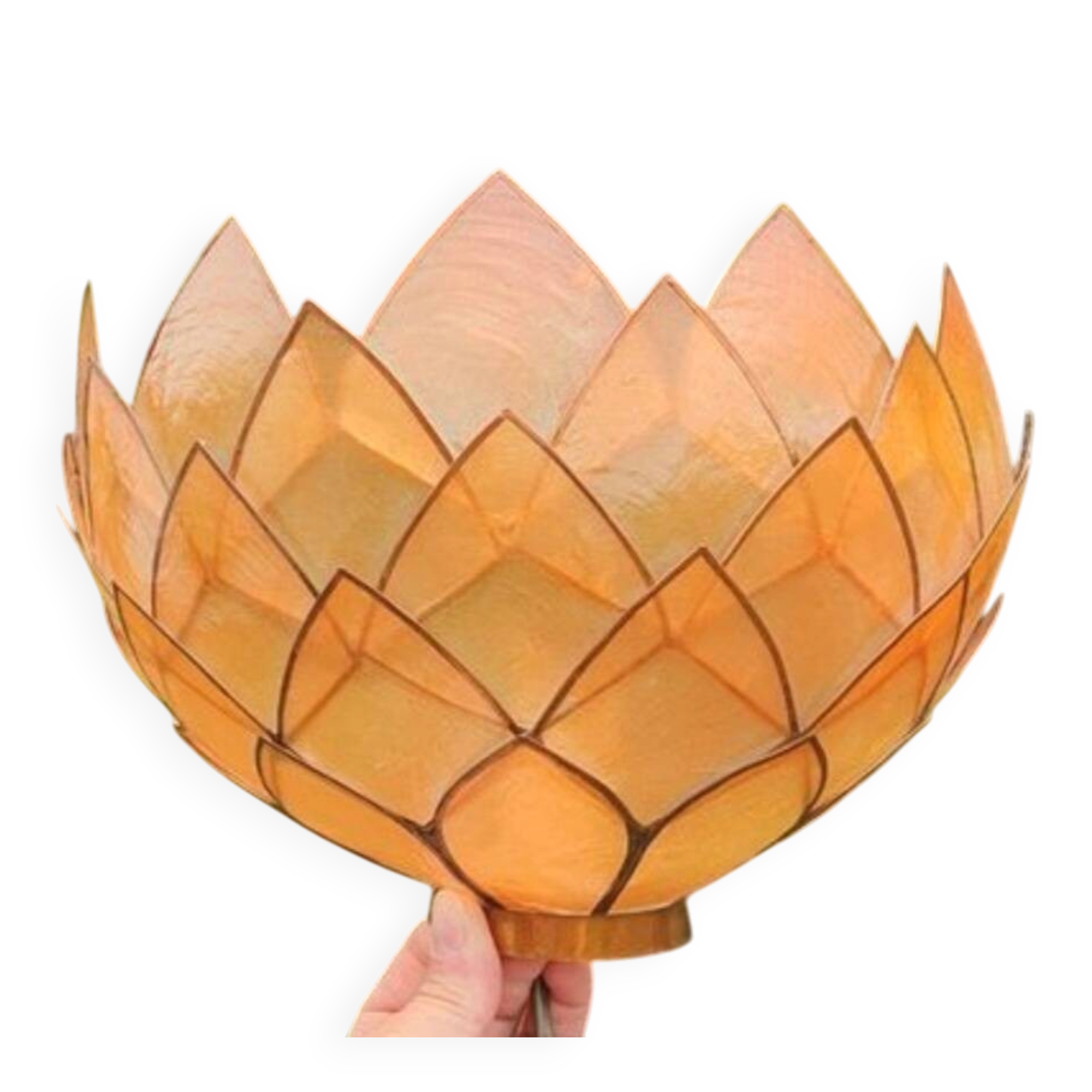 Mother-of-pearl and brass wall light, lotus flower.