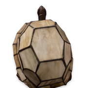 Lampe tortue