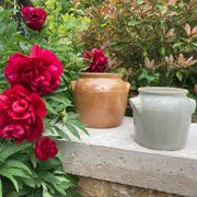 Light grey ceramic jar