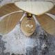 Flower suspension metal structure, 6 raffia petals