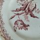 6 assiettes anciennes terre de fer rose dépareillées