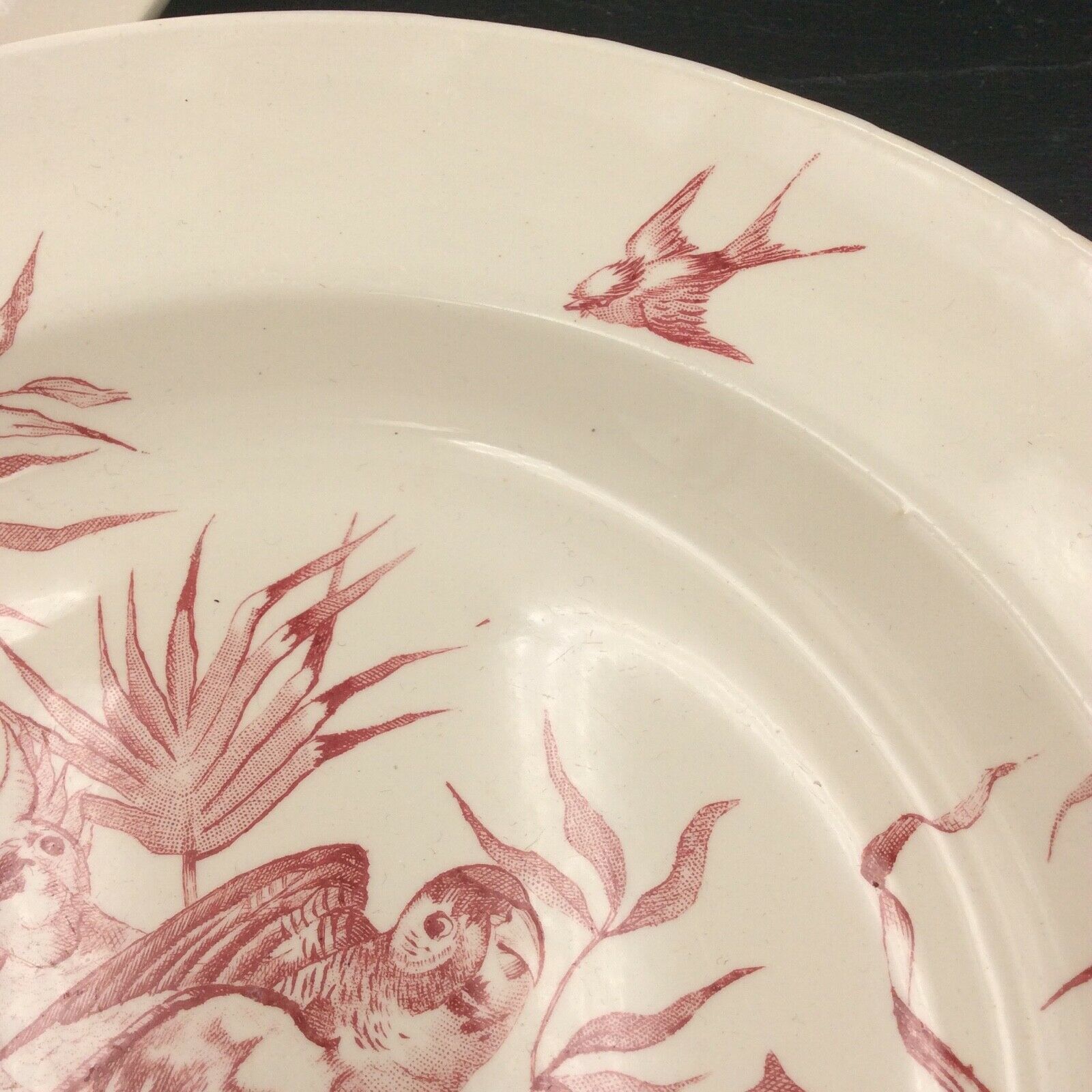 2 ancient hollow plates longchamp congo ostrich parrots