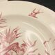 2 ancient hollow plates longchamp congo ostrich parrots