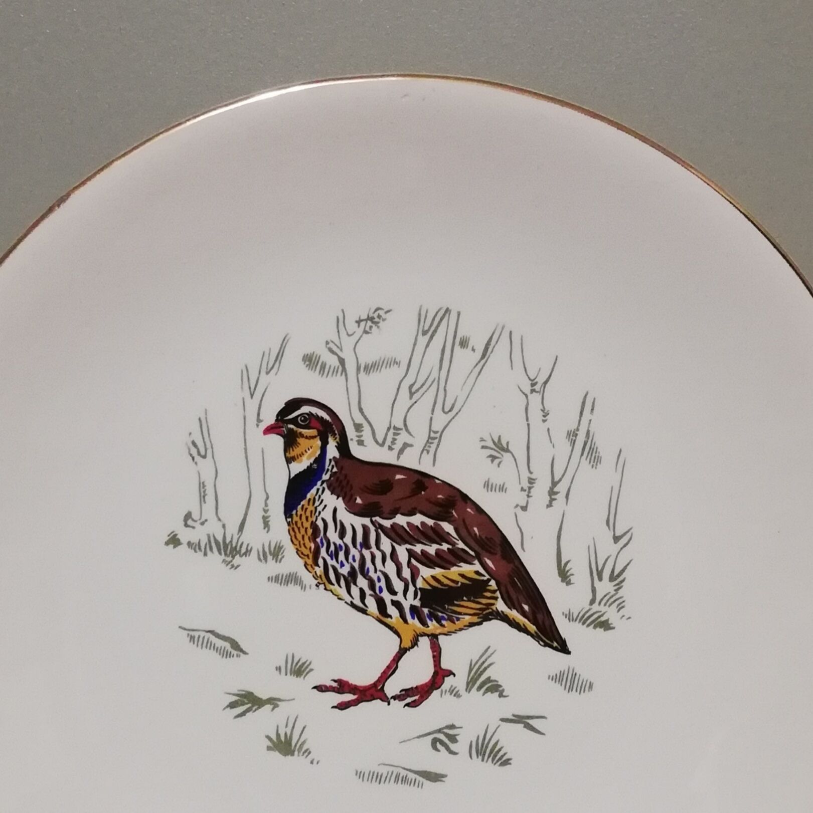 6 flat plates Gien Marly "birds of the forests"